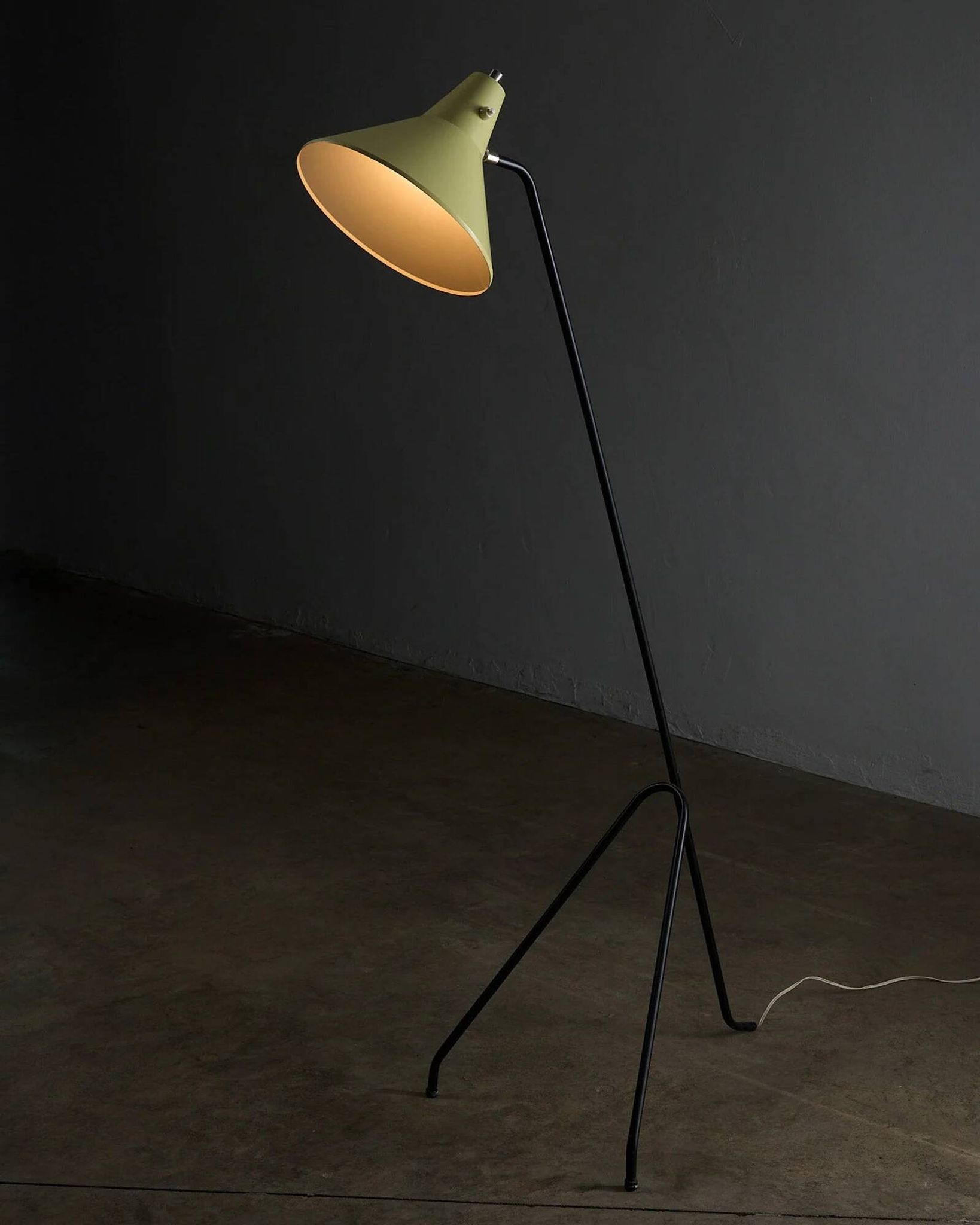 Grasshopper tripod floor lamp by Willem van Doorn