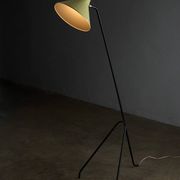 Grasshopper tripod floor lamp by Willem van Doorn