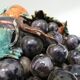 Coupe fruits et légumes en trompe l'oeil en céramique fin 19e
