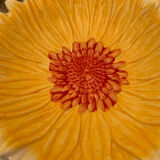Sunflower shaped cup