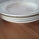 16 hollow plates iron earth longwy model Violetta