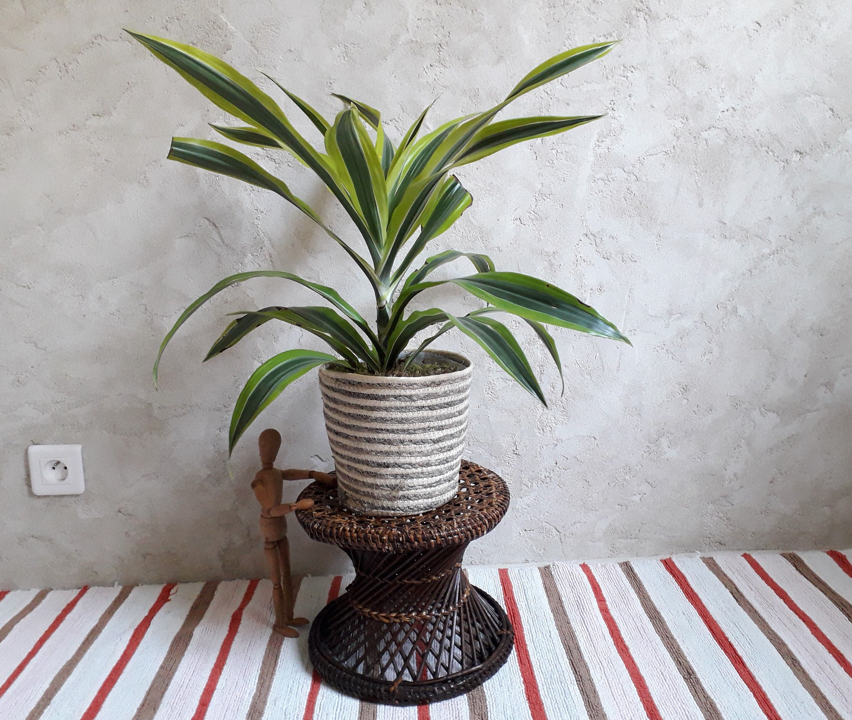 Diabolo rattan stool