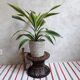 Diabolo rattan stool