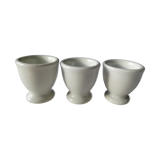 Lot of white cockroaches