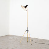 Rare Dutch Floor Lamp 1950s