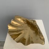 Empty clam pocket