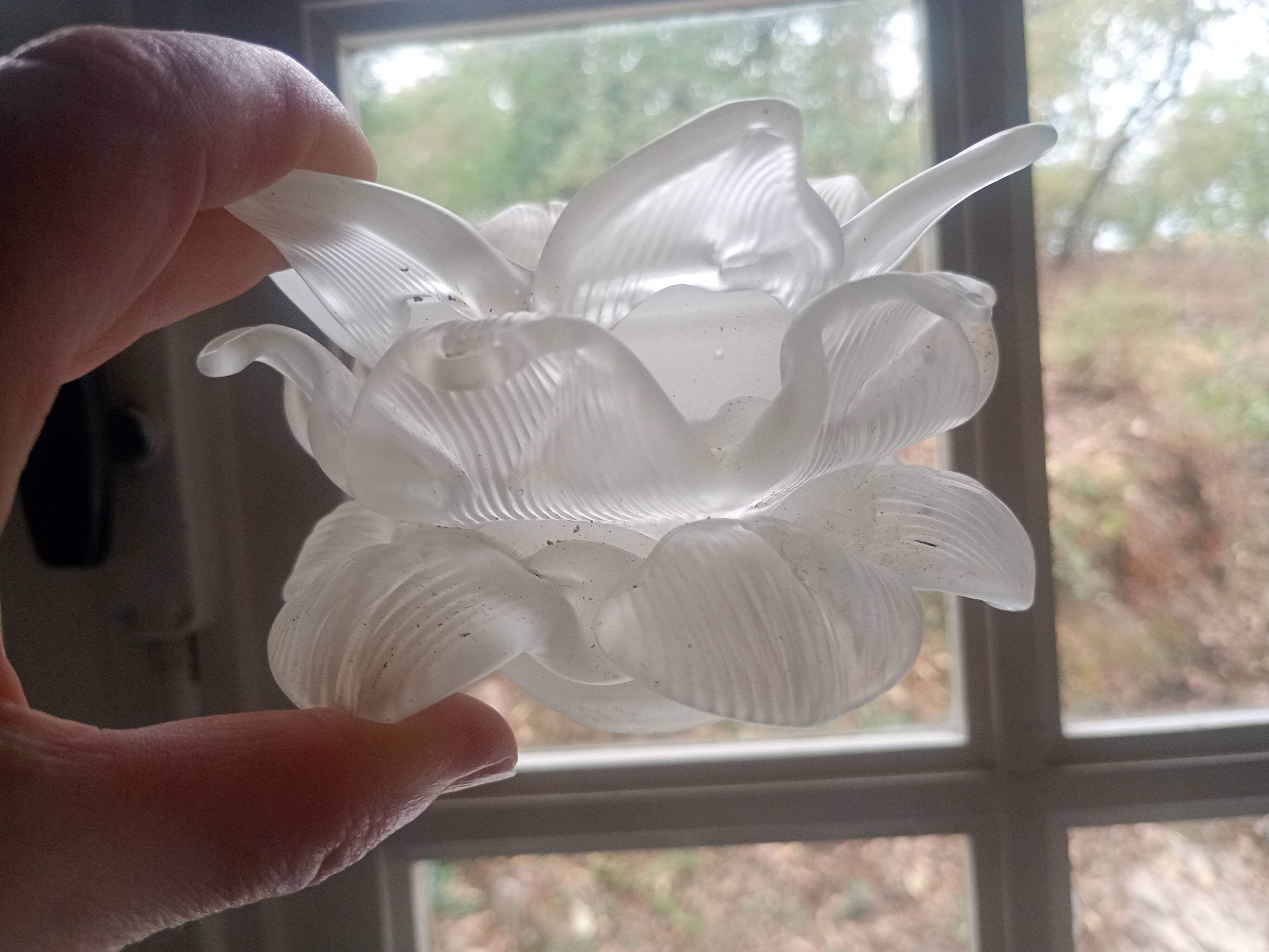 Grande Tulipe ancienne en forme de fleur "rose" - verre dépoli