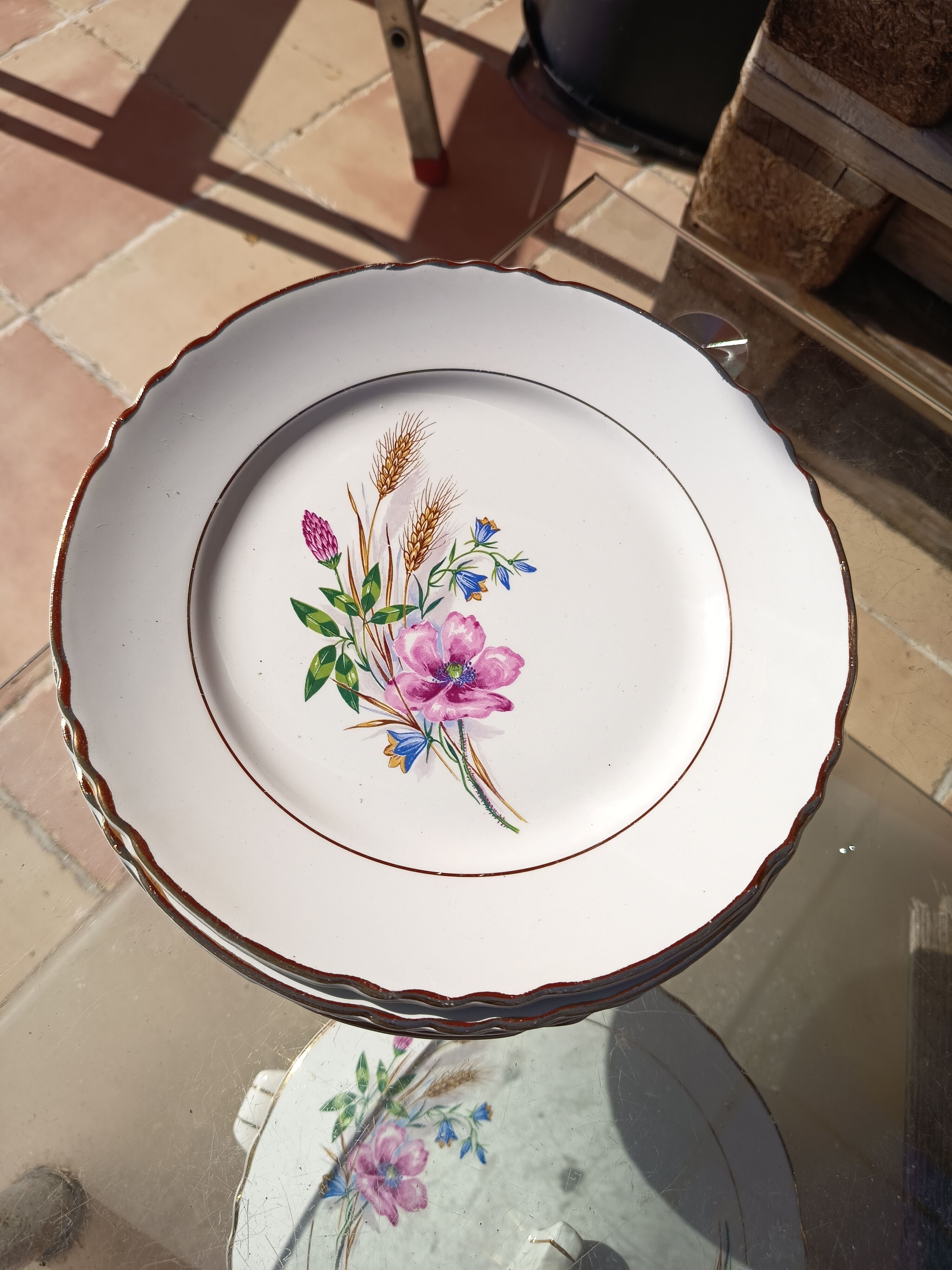 Lot de 11 assiettes fleurales champêtre