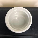 Lot of cockroaches Acapulco Villeroy and Boch