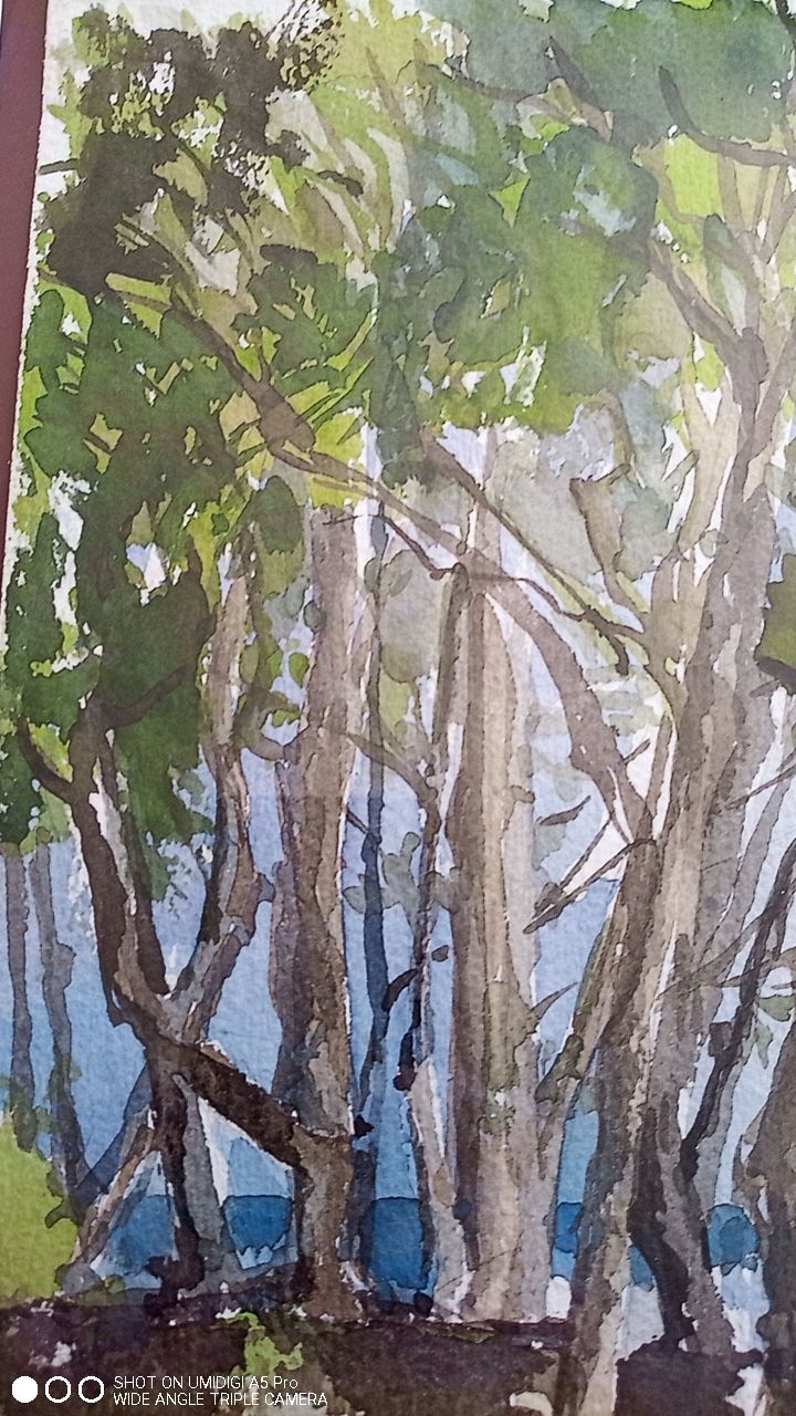 Pascale Rigat-Esselin (born 1952) - Watercolor - 35,5 x 26 cm - undergrowth, signed