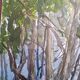 Pascale Rigat-Esselin (born 1952) - Watercolor - 35,5 x 26 cm - undergrowth, signed