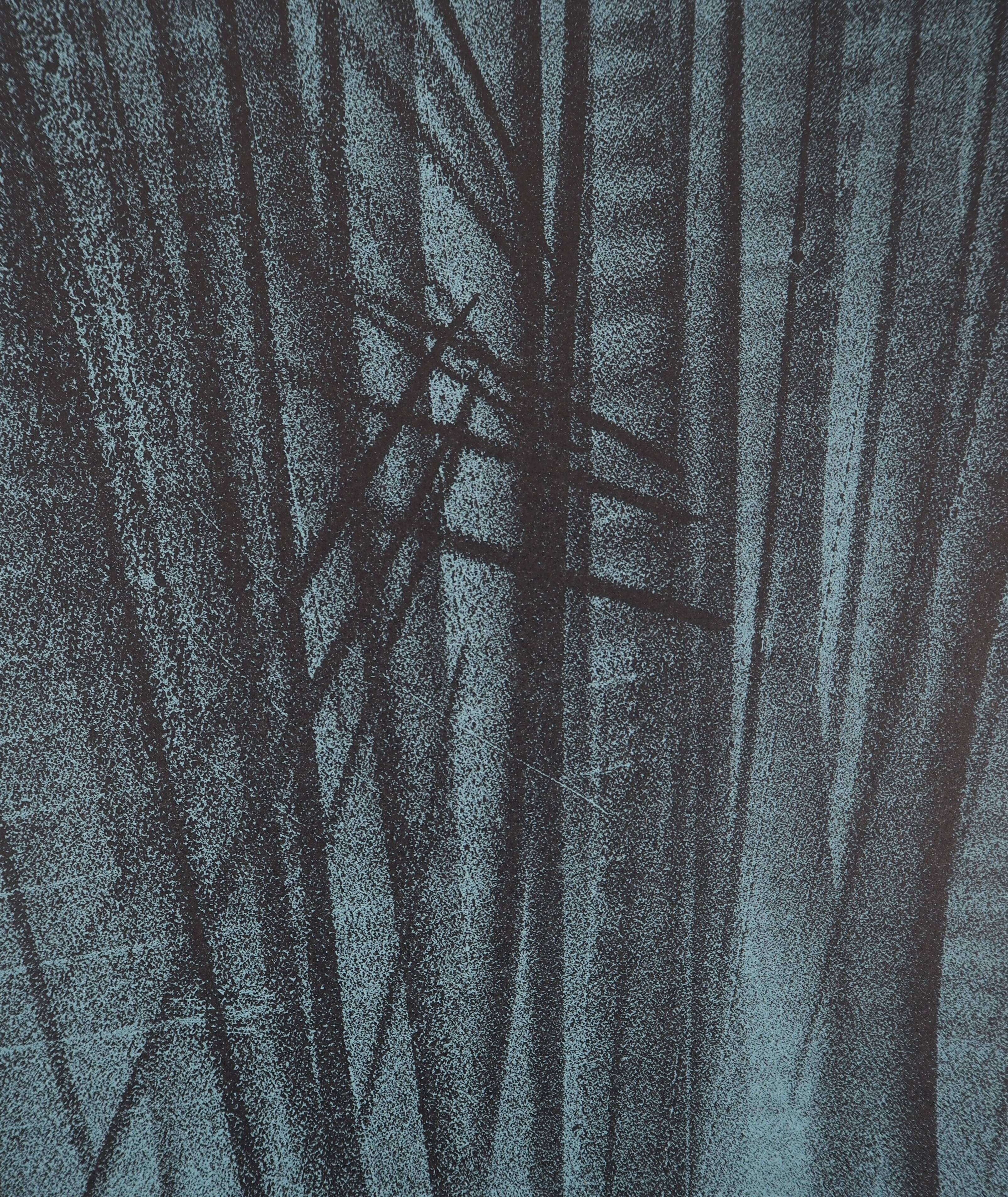 Hans hartung: hope - original lithograph