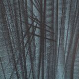 Hans hartung: hope - original lithograph