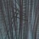 Hans hartung: hope - original lithograph