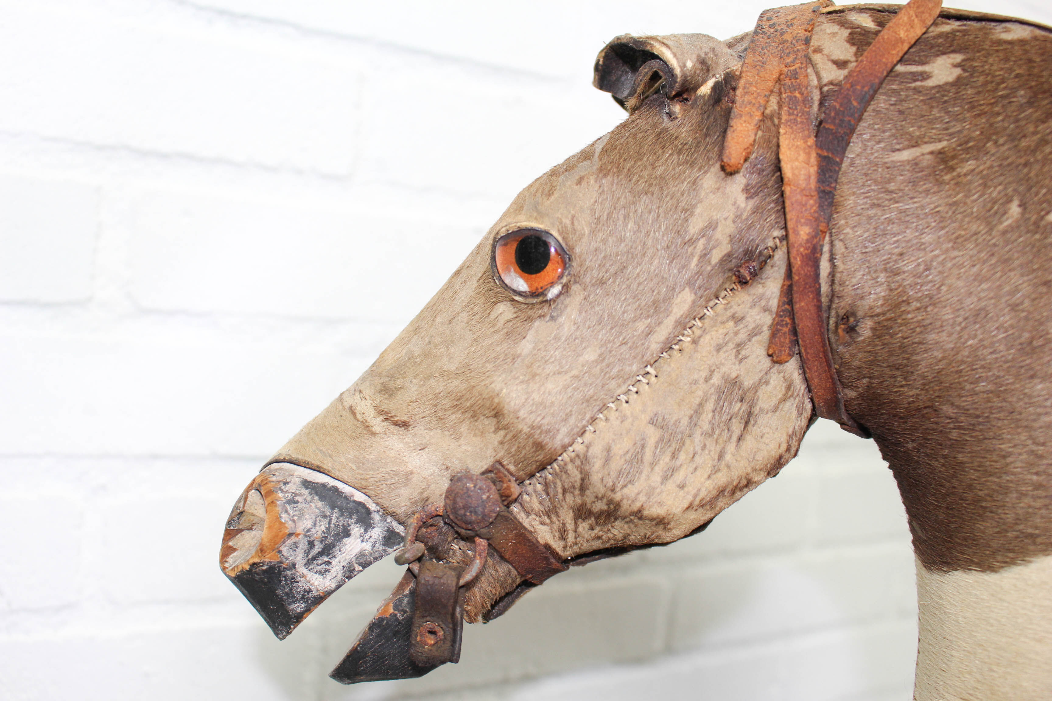 Victorian taxidermy toy horse, late 19th century.