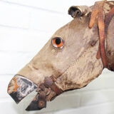 Victorian taxidermy toy horse, late 19th century.