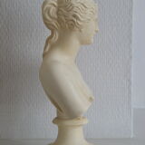 Bust Aopoaith Venus de Milo