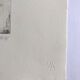 Nicole BOUHARMONT, Greenhouses and Botanical Gardens. Drypoint signed in chalk