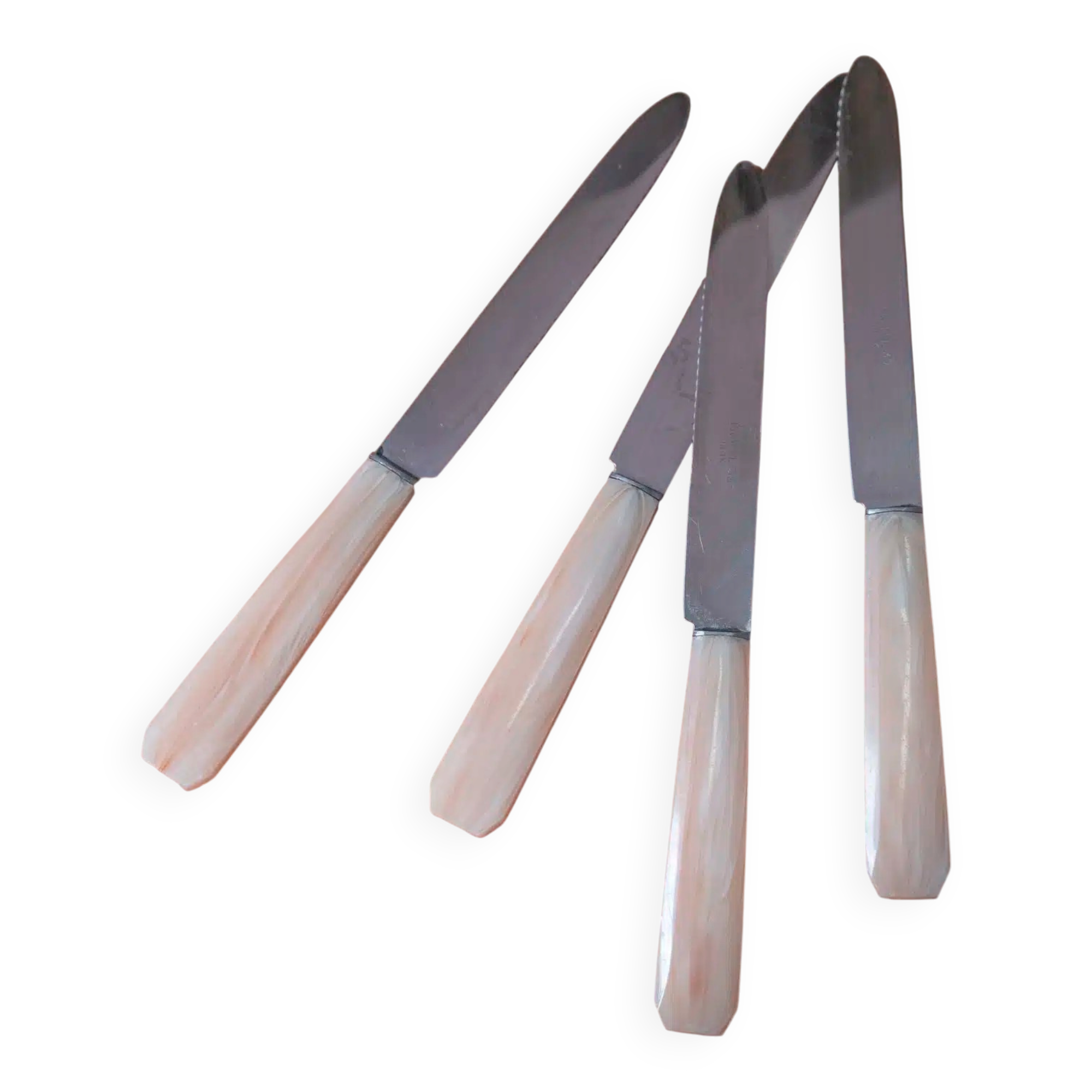 Set of 10 knives in "Églantine" box