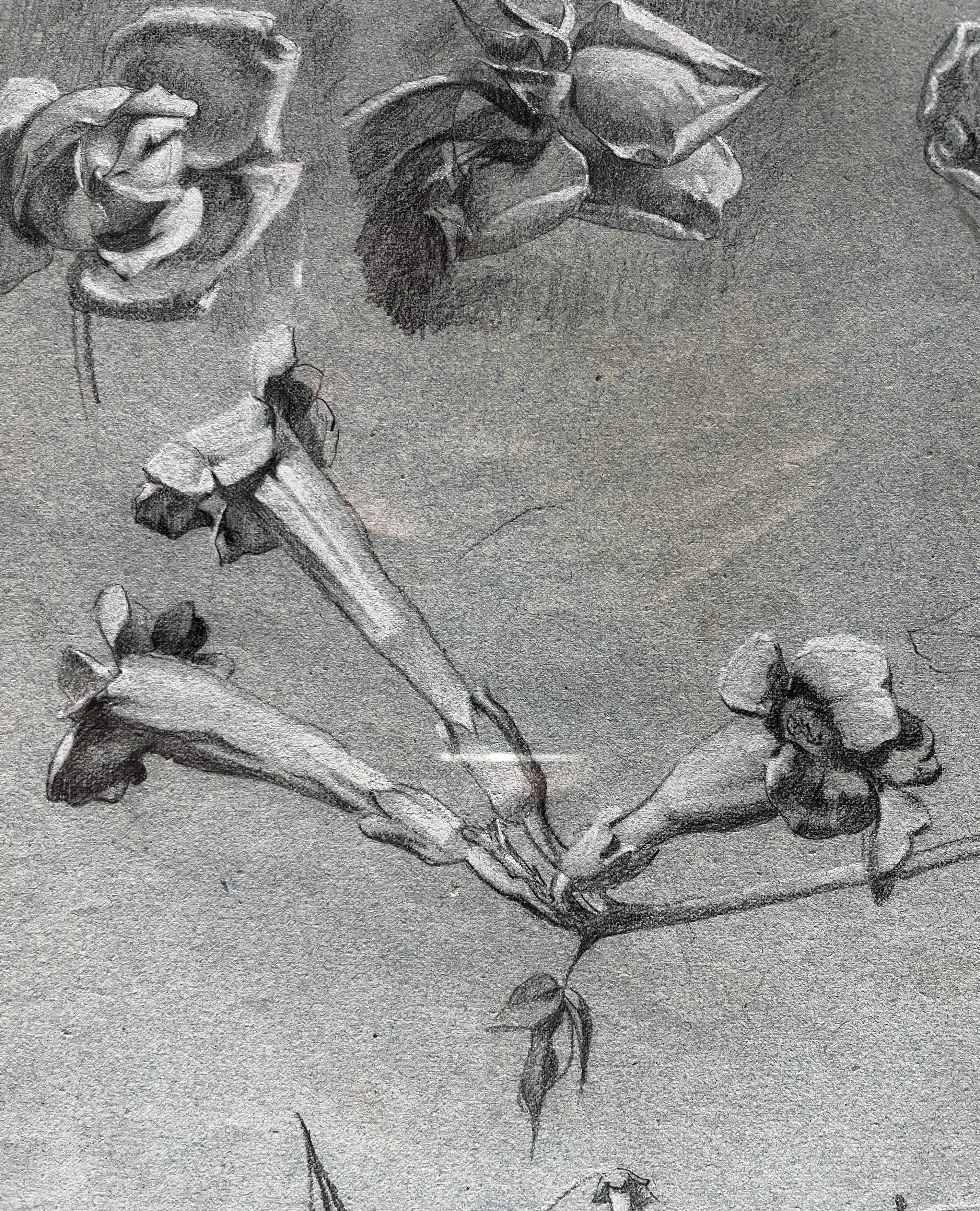 Painting Botanical flower studies Roses Jasmine 19th century + frame