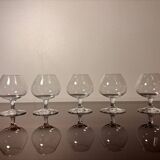 5 verres à dégustation Baccarat