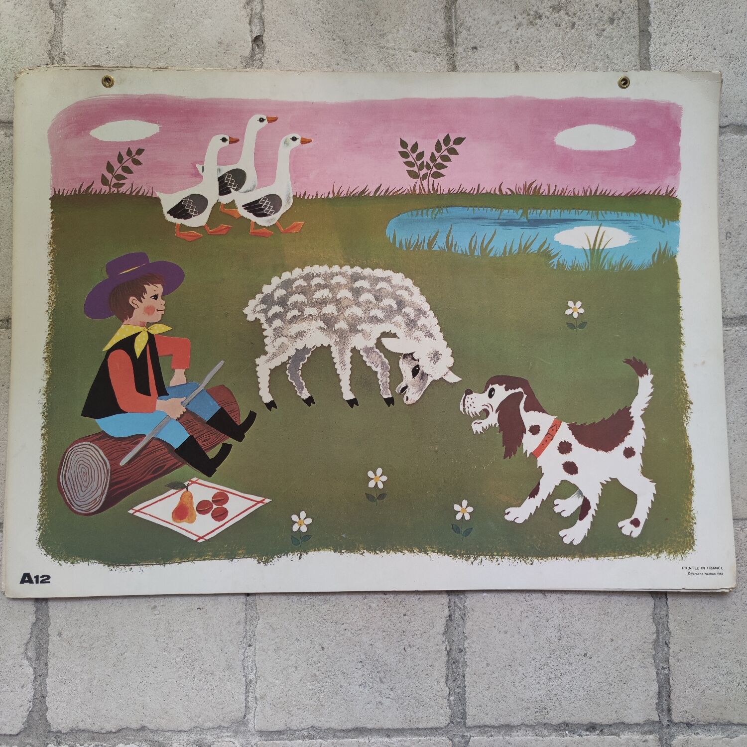 Set 6 Fernand Nathan School Posters 1965