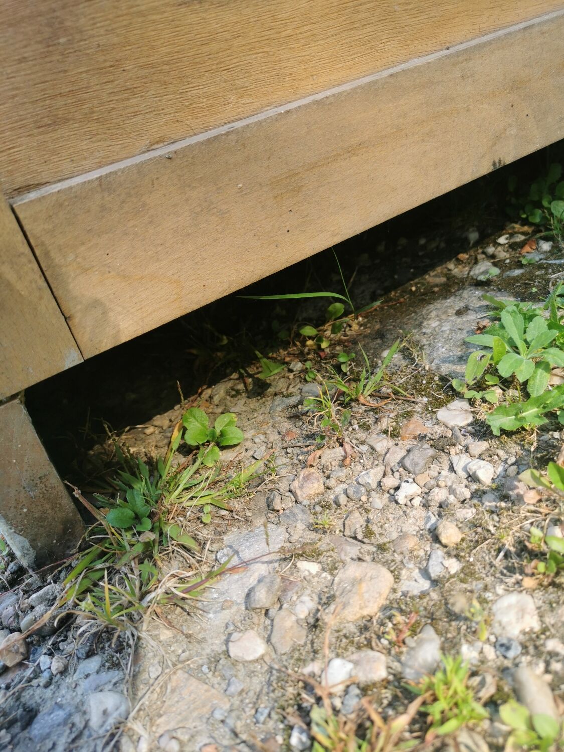 Mado sideboard, bar furniture, 50s