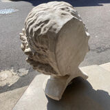 Plaster head