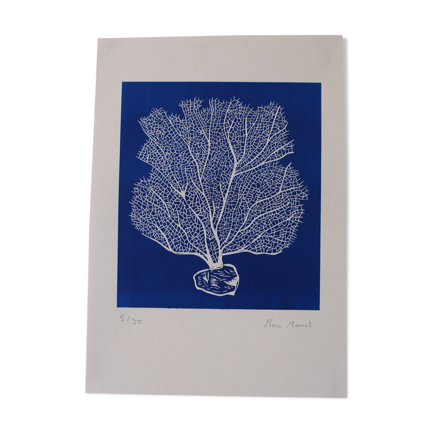 CORAL - DETAILS - LINOCUTURE