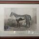 Tableau cheval par Adrien Moreau