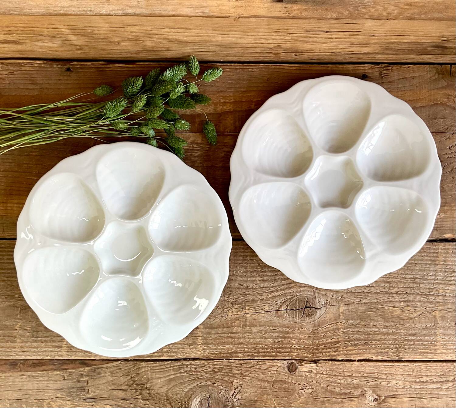 2 Apilco France porcelain oyster plates