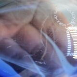 Murano glass vase vincenzo nason - italy sommerso