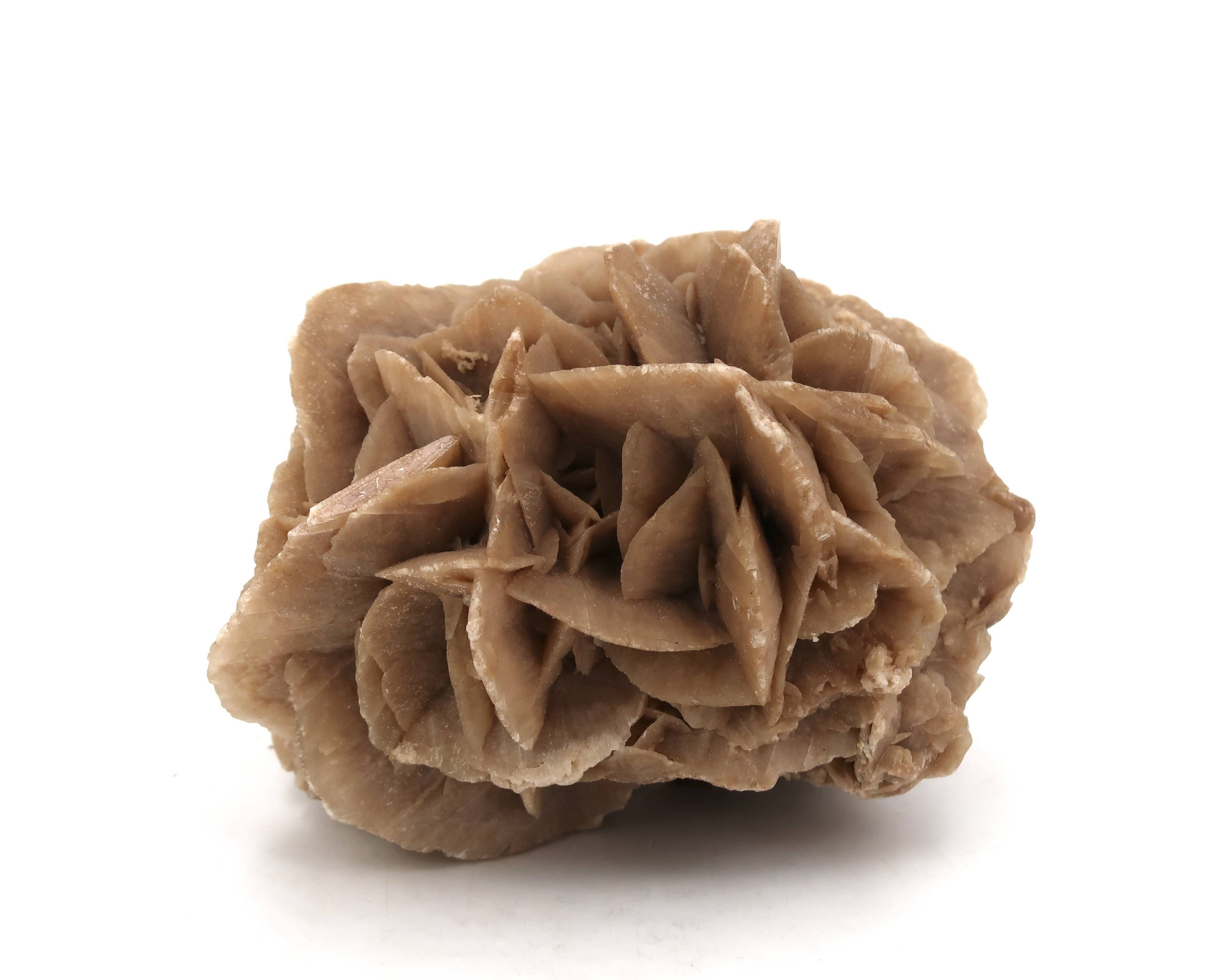 Natural brown sand rose, 1970s