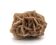 Natural brown sand rose, 1970s