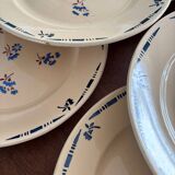 Set of 10 Lunéville Flore Vintage Flat Plates, antique earthenware