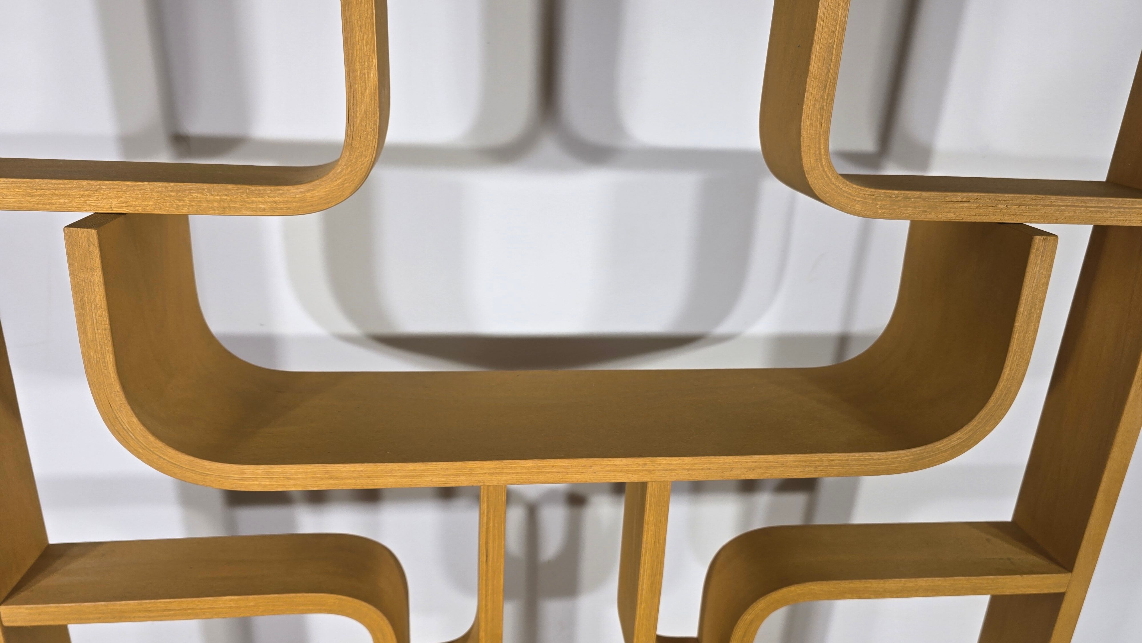 Room Divider by Ludvik Volak for Drevopodnik Holesov, 1950s