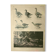 Antique engraving from 1921. Serving trolley - Farm goose. Vintage illustration