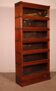 Globe Wernicke Library in mahogany with 6 elements and drawer.