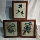 set of 3 reproductions of old illustrations by John James Audubon