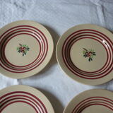 6 setting fruit gien earthenware dessert plates
