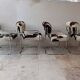 Set of 4 vintage Cucroma armchairs – Guido Faleschini – leather