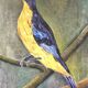 Painting the sparrow of Peru
