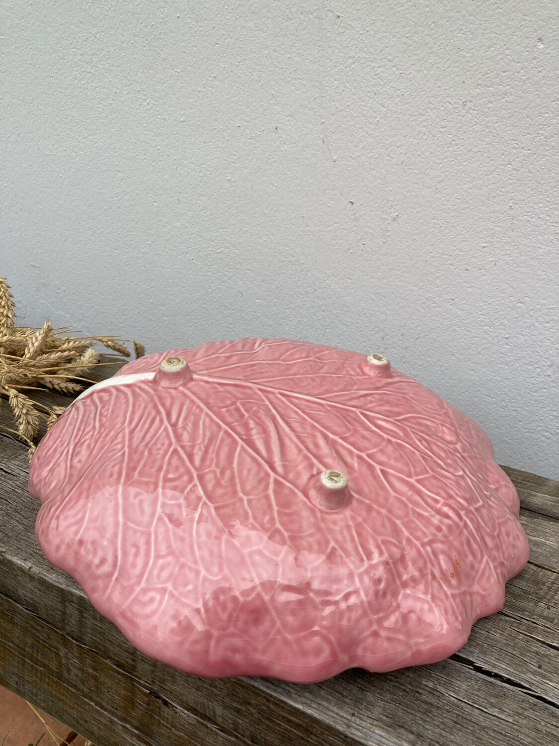 Slip pink cabbage leaf flat empty pocket