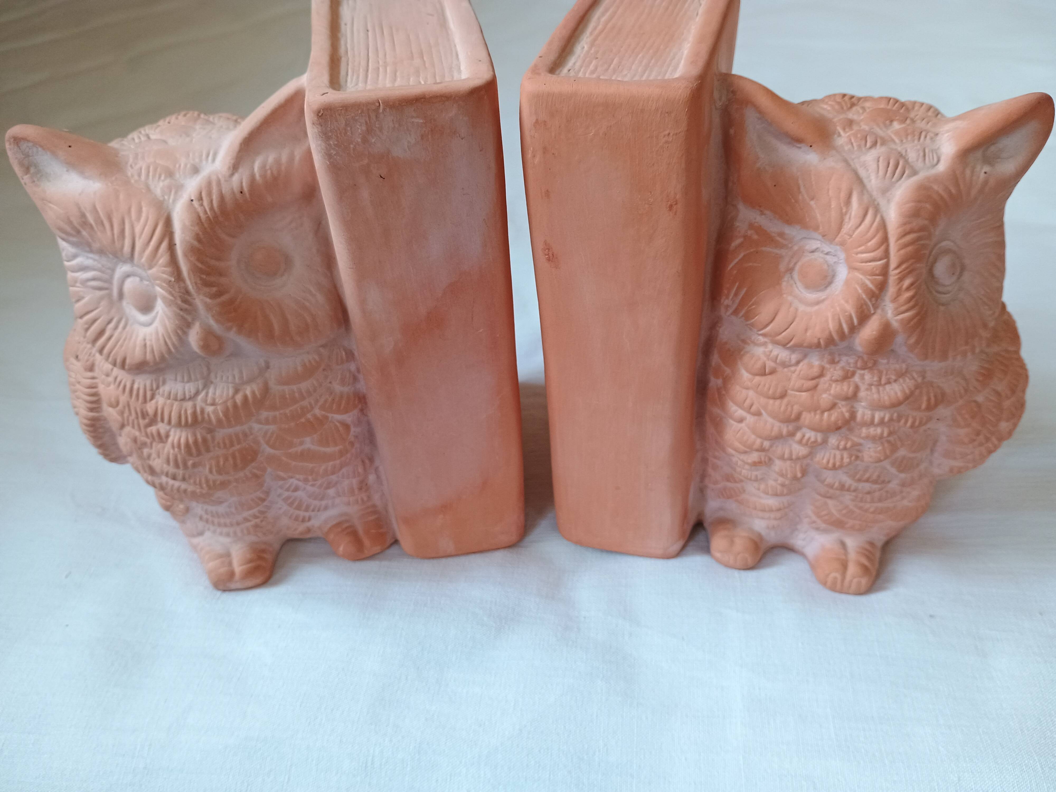Serre livres paire - Hibou Chouette et livre - terre cuite brute - moderne
