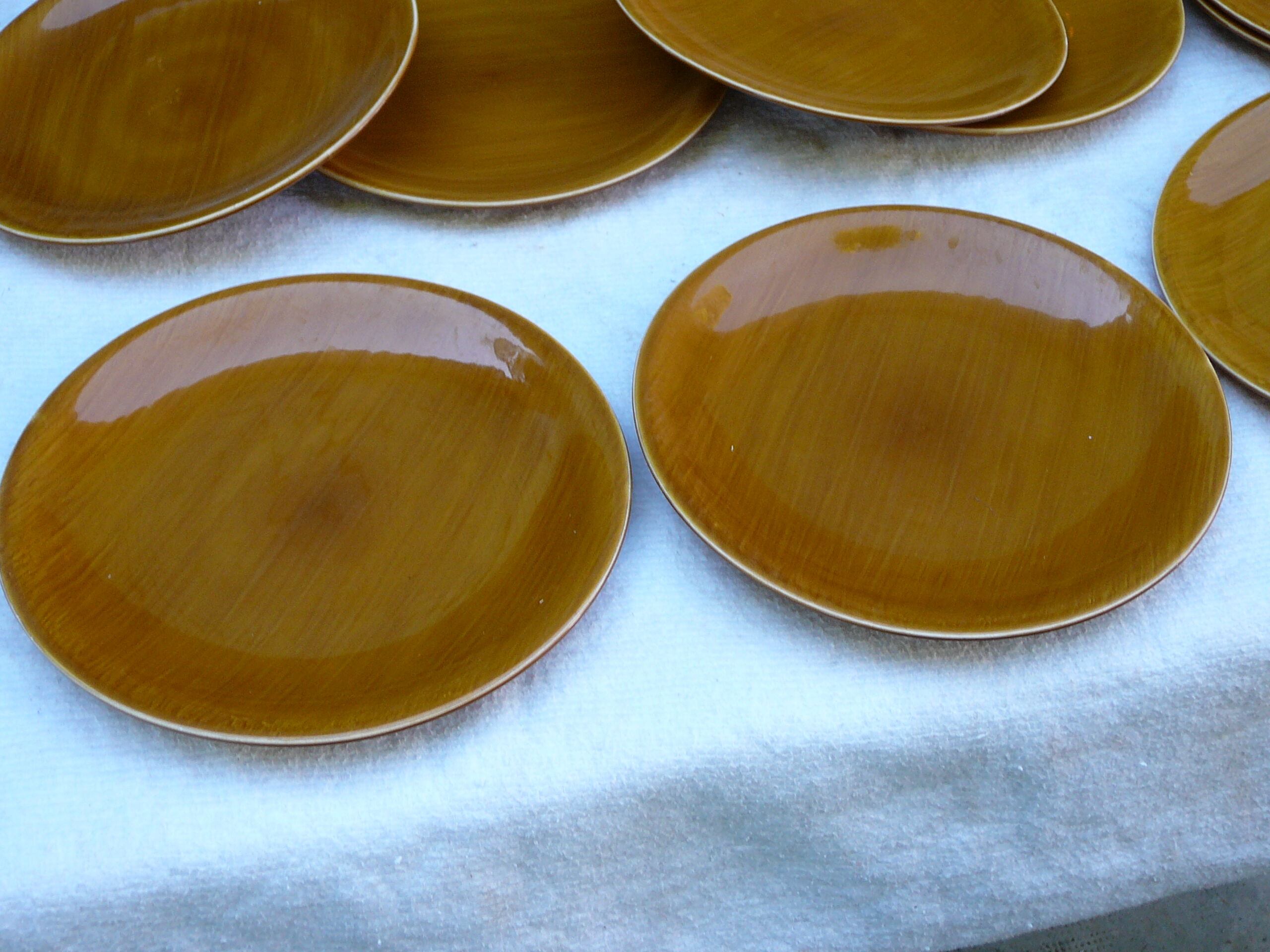 10 flat plates Salins Provence