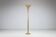 Brass ''Luminator'' floor lamp by Marcello Piacentini