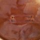 Set of 2 french brown 1 yellow escargot snail cook pots 12 snail wells 3885