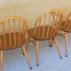Série de 4 chaises « Windsor » par L. Ercolani pour les éditions Ercol