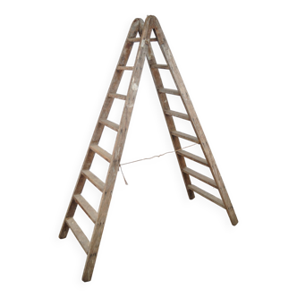 Painter's ladder