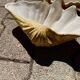 Ceramic shell